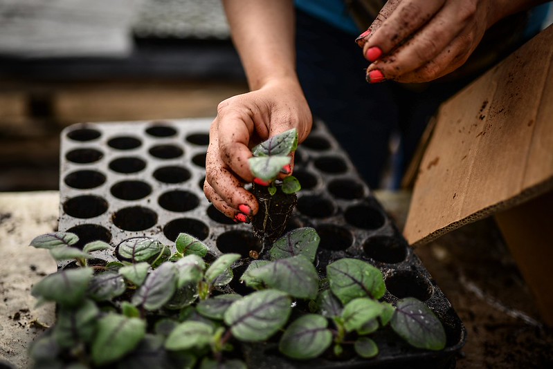 Mujeres, autonomía económica
