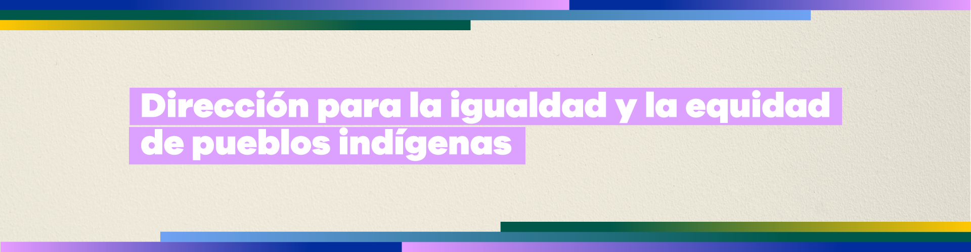 Dirección para la igualdad y la equidad de Pueblos Indígenas