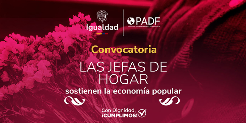 Imagen gráfica cnn filtro magenta en donde se lee la frase Convocatoria: las jefas de hogar sostienen la economía popular