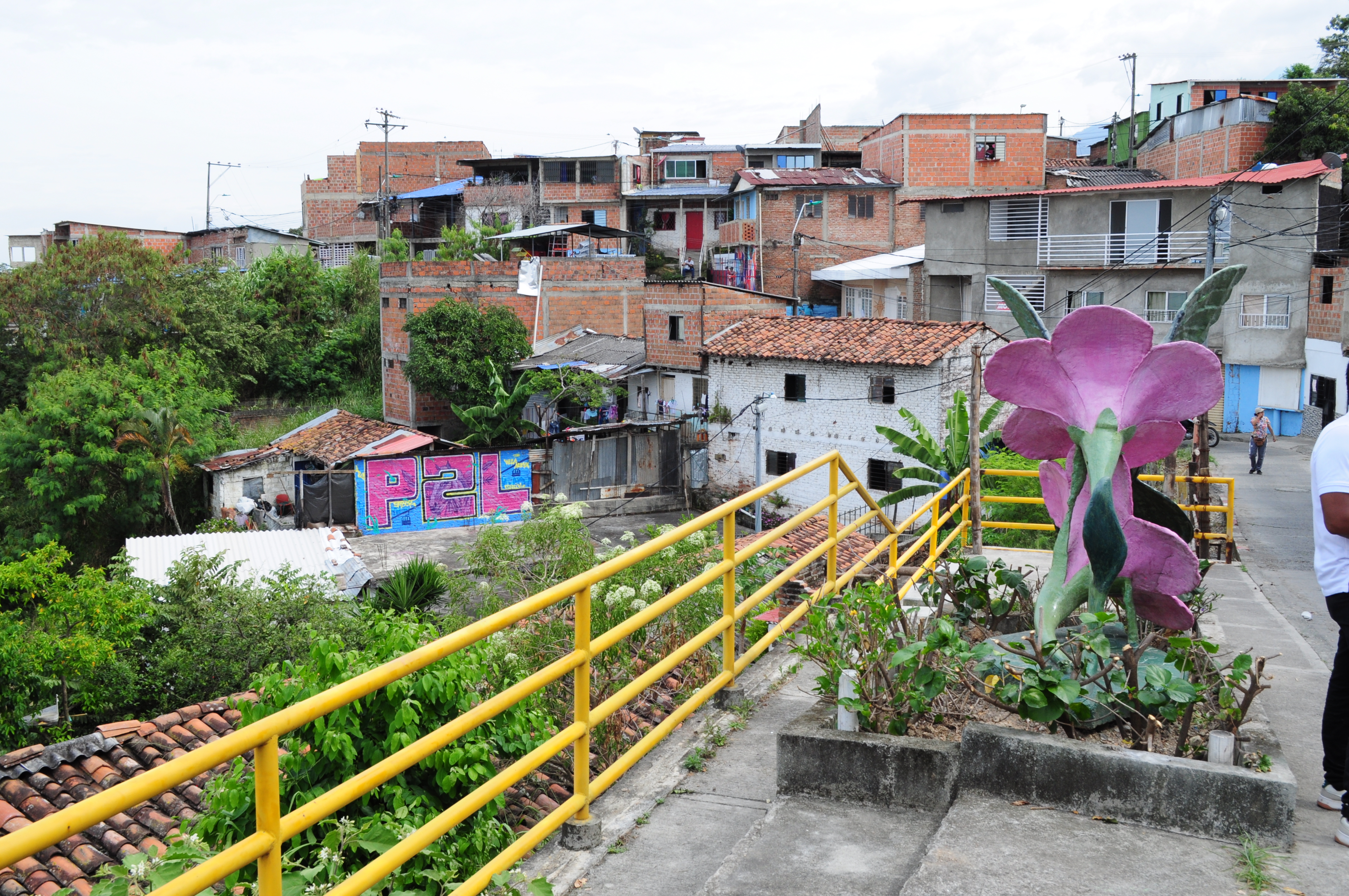 Plano general de alameda en el sector de Siloé de Cali. Al fondo se aprecian las viviendas, alguna con coloridas pinturas en sus fachadas