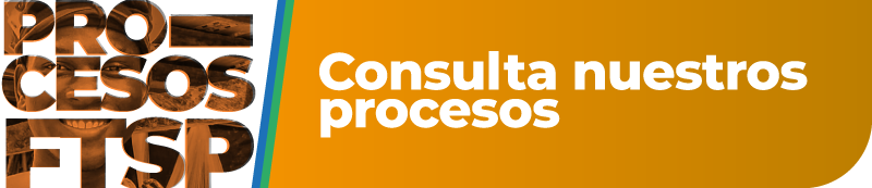 Consulta nuestros procesos