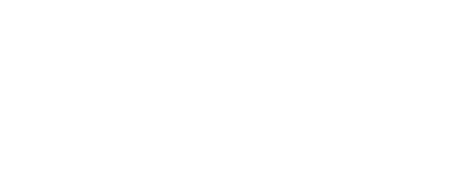 Nombre del programa Raíces en Movimiento en tipografía institucional